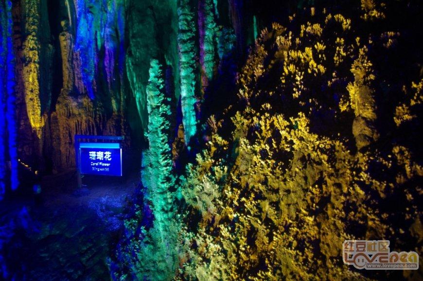 我县召开防范低温雨雪冰冻天气工作视频调度会